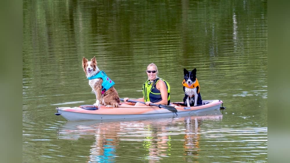 How to Kayak With a Dog: Essential Tips for a Safe Adventure How to Kayak With a Dog
