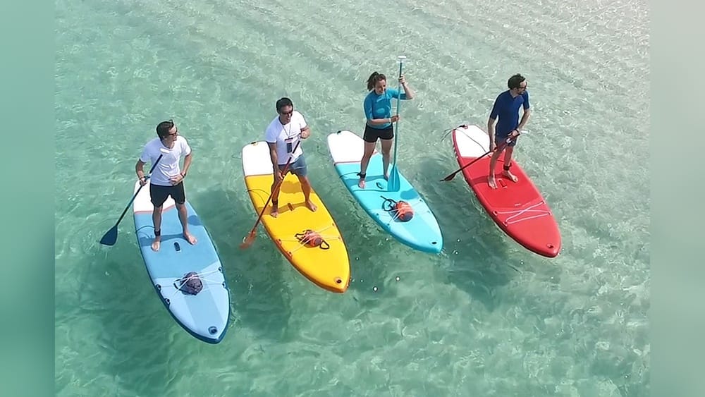 Kayak Vs Paddleboard: Which Water Adventure Suits You Best? Kayak Vs Paddleboard
