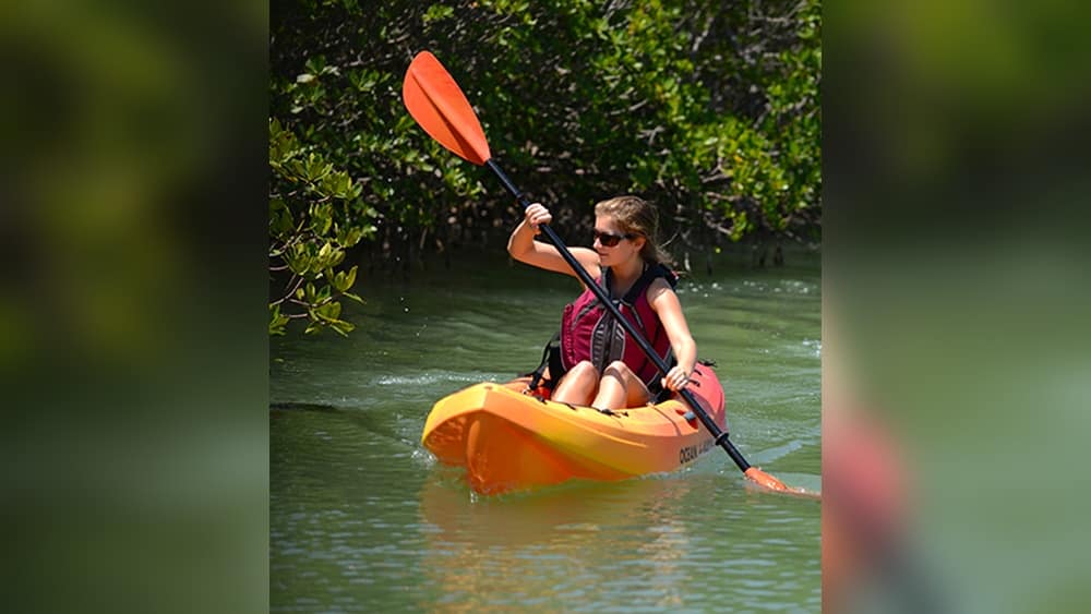 Ocean Kayak Yak Board Vs Frenzy: Which Is Best for You? Ocean Kayak Yak Board Vs Frenzy